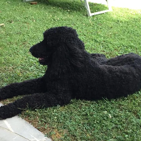 Magalita Apartmán *