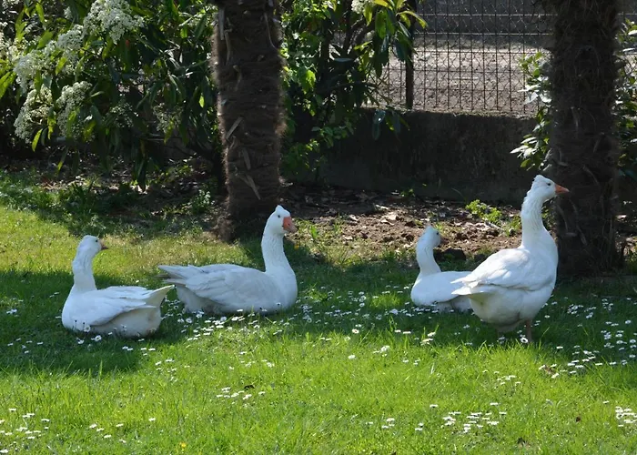 Apartman Magalita Udine